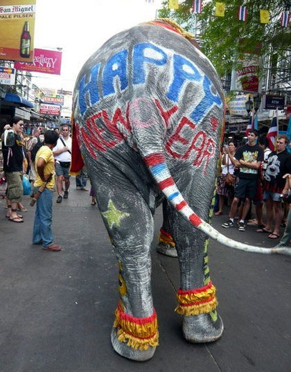 new-years-elephant.jpg